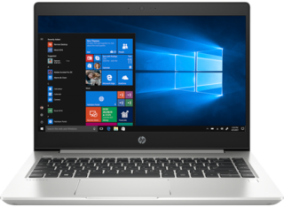 HP ProBook 445 G6 (9HP57ES) Notebook