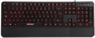 Everest Bright KB-R61 Klavye (24075)