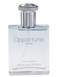 Amway Opportune EDT 50 ml Erkek Parfümü