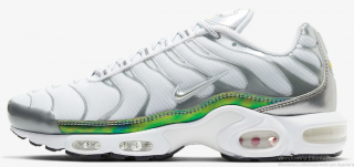 Nike Air Max Plus Spor Ayakkabı (CW2646-100)