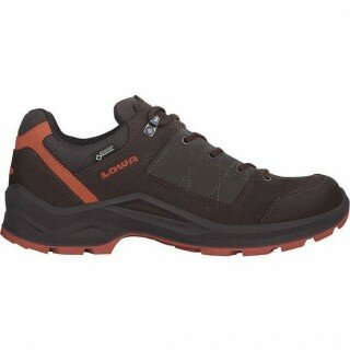 Lowa Terrios GTX Lo Spor Ayakkabı (310927-4307)