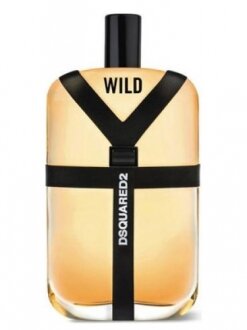 Dsquared2 Wild EDT 100 ml Erkek Parfümü