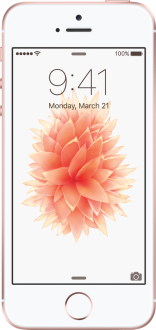 Apple iPhone SE (64 GB) (MLM72TU/A, MLXP2TU/A, MLM62TU/A, MLXQ2TU/A)