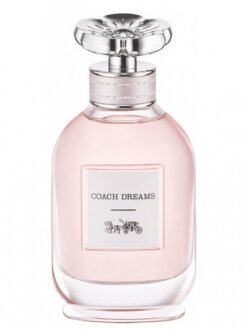 Coach Dreams EDP 90 ml Kadın Parfümü