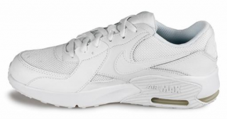 Nike Air Max Excee Spor Ayakkabı (CD6894-100)