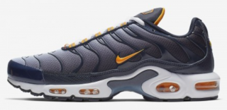 Nike Air Max Plus Spor Ayakkabı (CI2299-400)