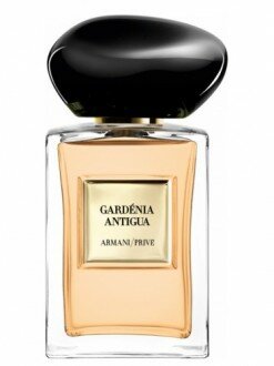 Giorgio Armani Gardenia Antigua EDT 100 ml Unisex Parfüm