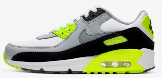 Nike Air Max 90 Ltr (CD6864-101)