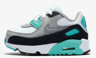 Nike Air Max 90 (CD6868-102)