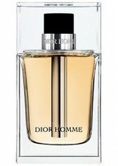 Dior Homme EDT 100 ml Erkek Parfümü (100 ml)