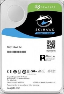 Seagate Skyhawk AI HDD (10 TB) (ST10000VE0008)