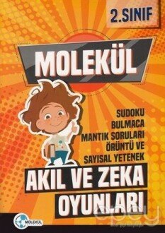 2. Sınıf Molekül Akıl ve Zeka Oyunları