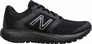 New Balance 520 Spor Ayakkabı (W520CB5)