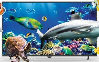 Axen 43" 3D Uydu Alıcılı Full HD (FHD) TV (TRAXDLD043322700)