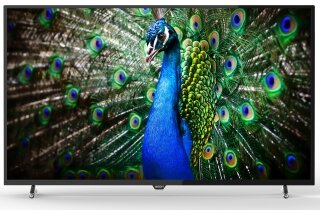 Woon WN49DLK1723 Full HD (FHD) TV