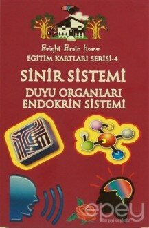 Sinir Sistemi, Duyu Organları, Endokrin Sistemi - Eğitim Kartları Serisi 4