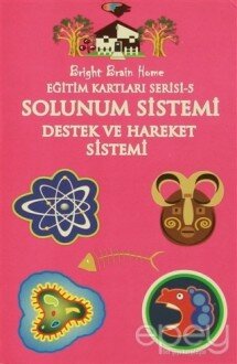 Solunum Sistemi, Destek ve Hareket Sistemi - Eğitim Kartları Serisi 5