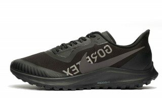 Nike Air Zoom Pegasus 36 Trail GORE-TEX Spor Ayakkabı (BV7762-001)