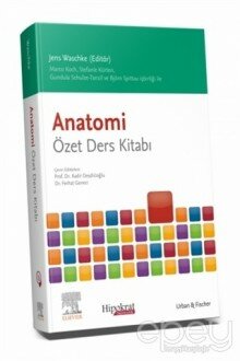 Anatomi Özet Ders Kitabı