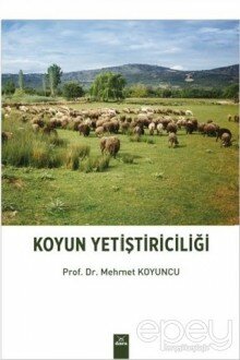 Koyun Yetiştiriciliği