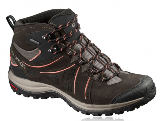 Salomon Ellipse 2 Mid Ltr Gtx W Ayakkabı (L40002000)