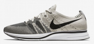 Nike Flyknit Trainer Spor Ayakkabı (AH8396-001)