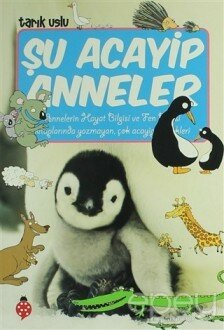 Şu Acayip Anneler