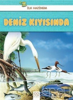 Deniz Kıyısında - İlk Hazinem