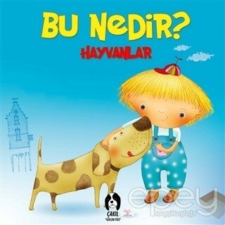 Hayvanlar - Bu Nedir?