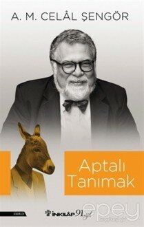 Aptalı Tanımak