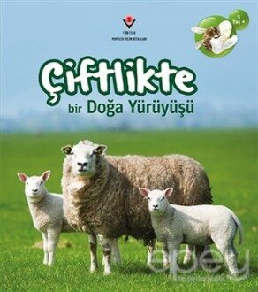 Çiftlikte Bir Doğa Yürüyüşü