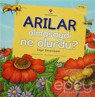 Arılar Olmasaydı Ne Olurdu? - Besin Zinciri Tepkimeleri