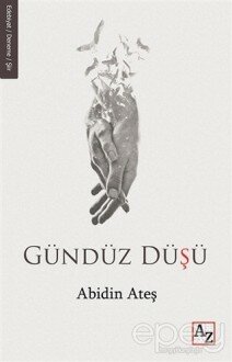 Gündüz Düşü