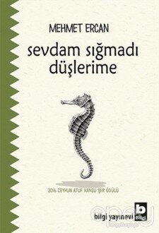 Sevdam Sığmadı Düşlerime