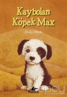 Kaybolan Köpek Max