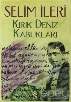 Kırık Deniz Kabukları