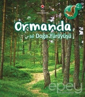 Ormanda Bir Doğa Yürüyüşü