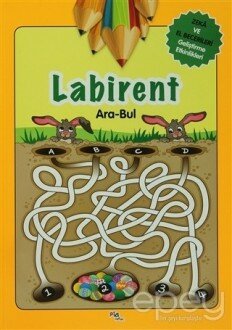 Labirent Ara - Bul