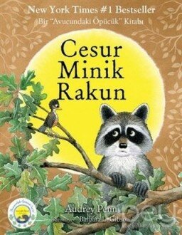 Cesur Minik Rakun