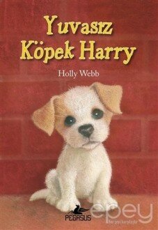 Yuvasız Köpek Harry