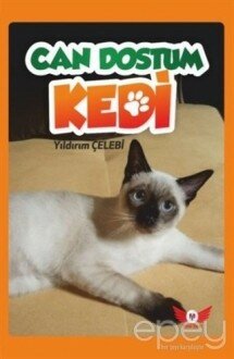 Can Dostum Kedi