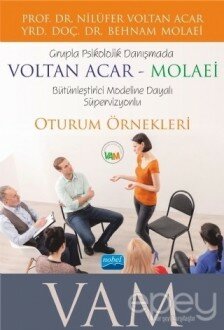 Grupla Psikolojik Danışmada VOLTAN ACAR-MOLAEİ (VAM) Bütünleştirici Modeline Dayalı Süpervizyonlu Oturum Örnekleri