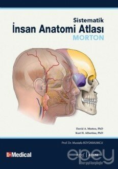 Morton İnsan Anatomi Atlası