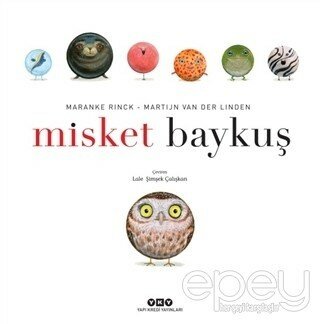 Misket Baykuş