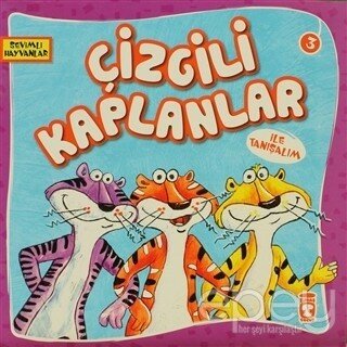 Çizgili Kaplanlar ile Tanışalım