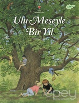 Ulu Meşeyle Bir Yıl