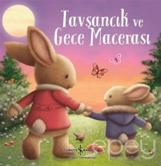 Tavşancık ve Gece Macerası