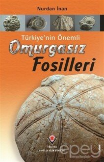 Türkiye’nin Önemli Omurgasız Fosilleri