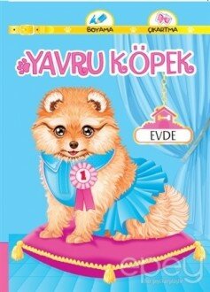 Yavru Köpek Evde