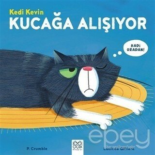 Kedi Kevin Kucağa Alışıyor